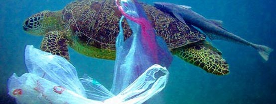 Una barca “plastic buster” per salvare il Mediterraneo