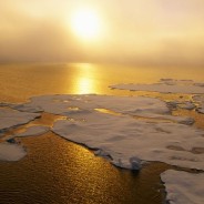 2016 hottest year ever recorded – and scientists say human activity to blame