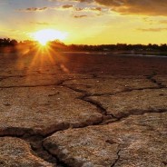 COP21 In Paris Doesn’t Define Climate Change Action