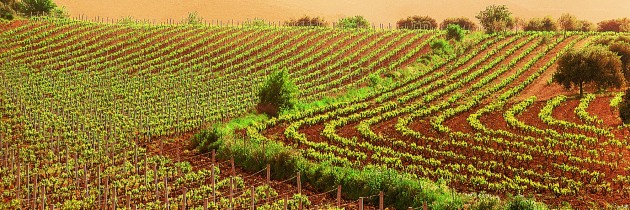 The greening of Europe’s farms is a shameful failure