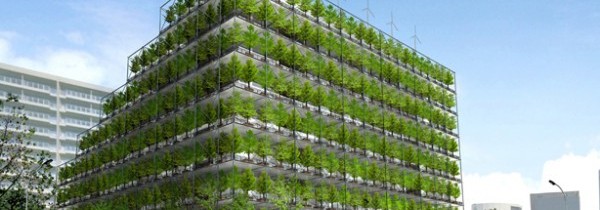 Green architecture: how low can a low-carbon building go?