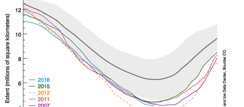 Arctic Summer Sea Ice – Going Down, Down, Down