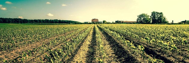 Agriculture has big role to play in curbing greenhouse gas emissions