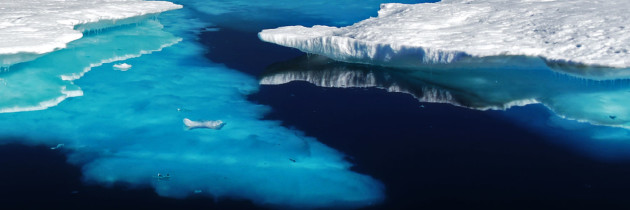 FEATURE: Climate change and the world’s oceans