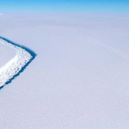 Antarctic sends message to Donald Trump about global warming in shape of iceberg the size of Delaware