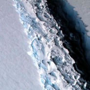 Disastro climatico in Antartide, si è staccato l’iceberg grande come la Liguria