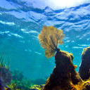 Ocean Warming Is Accelerating Faster Than Thought, New Research Finds