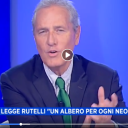 La sfida mondiale per salvare la terra parte dagli alberi. L’ossigeno della nostra vita.