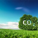 L’importanza di una tassa sul carbonio